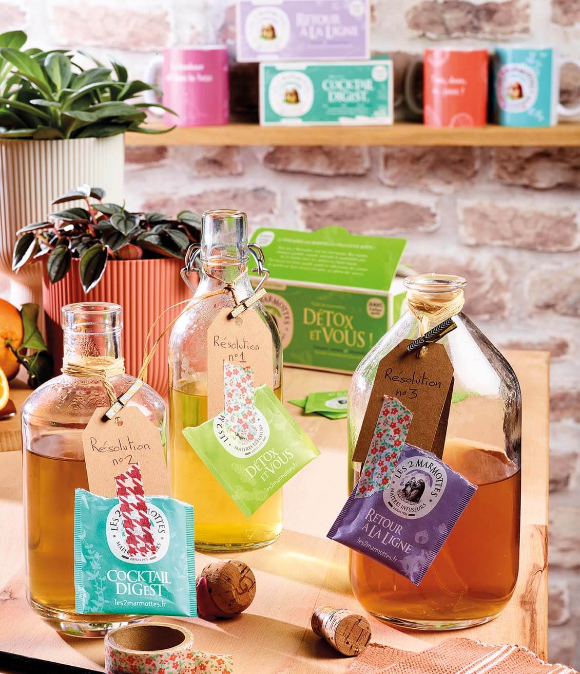 Les bonnes résolutions : bien digérer avec nos infusions 100% plantes Cocktail Digest, Detox et Vous