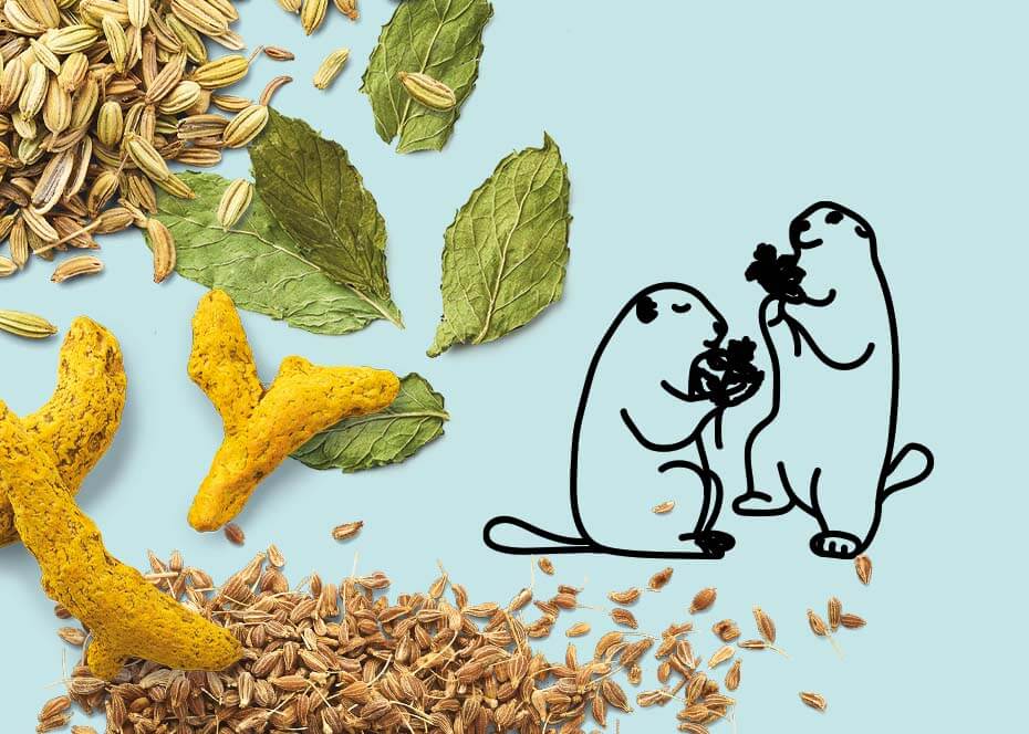 Les 2 Marmottes, ingrédients 100% plantes sans jamais d'arômes ajoutés