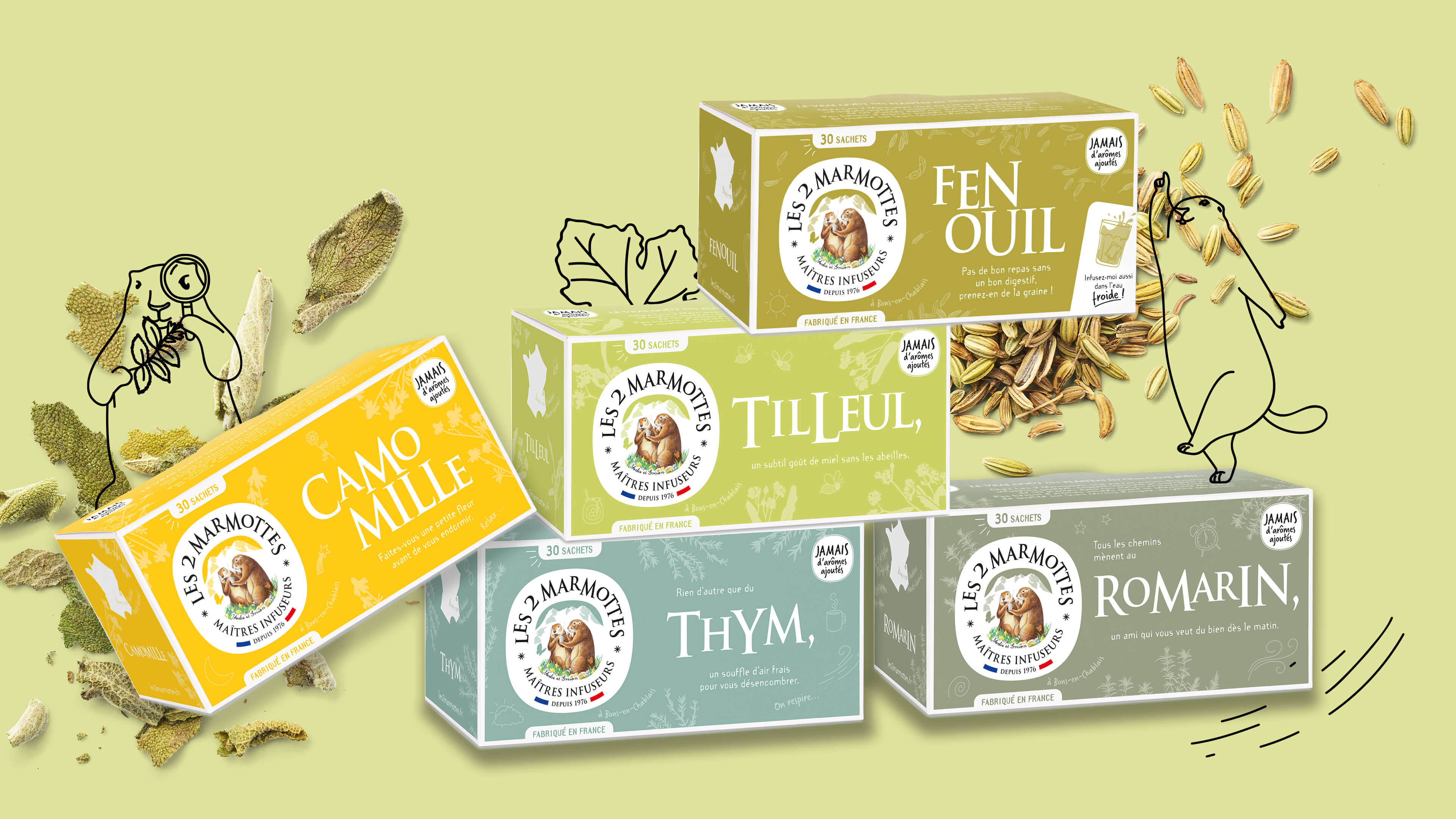 Tisanes de plantes pour soulager les petits maux de l'hiver