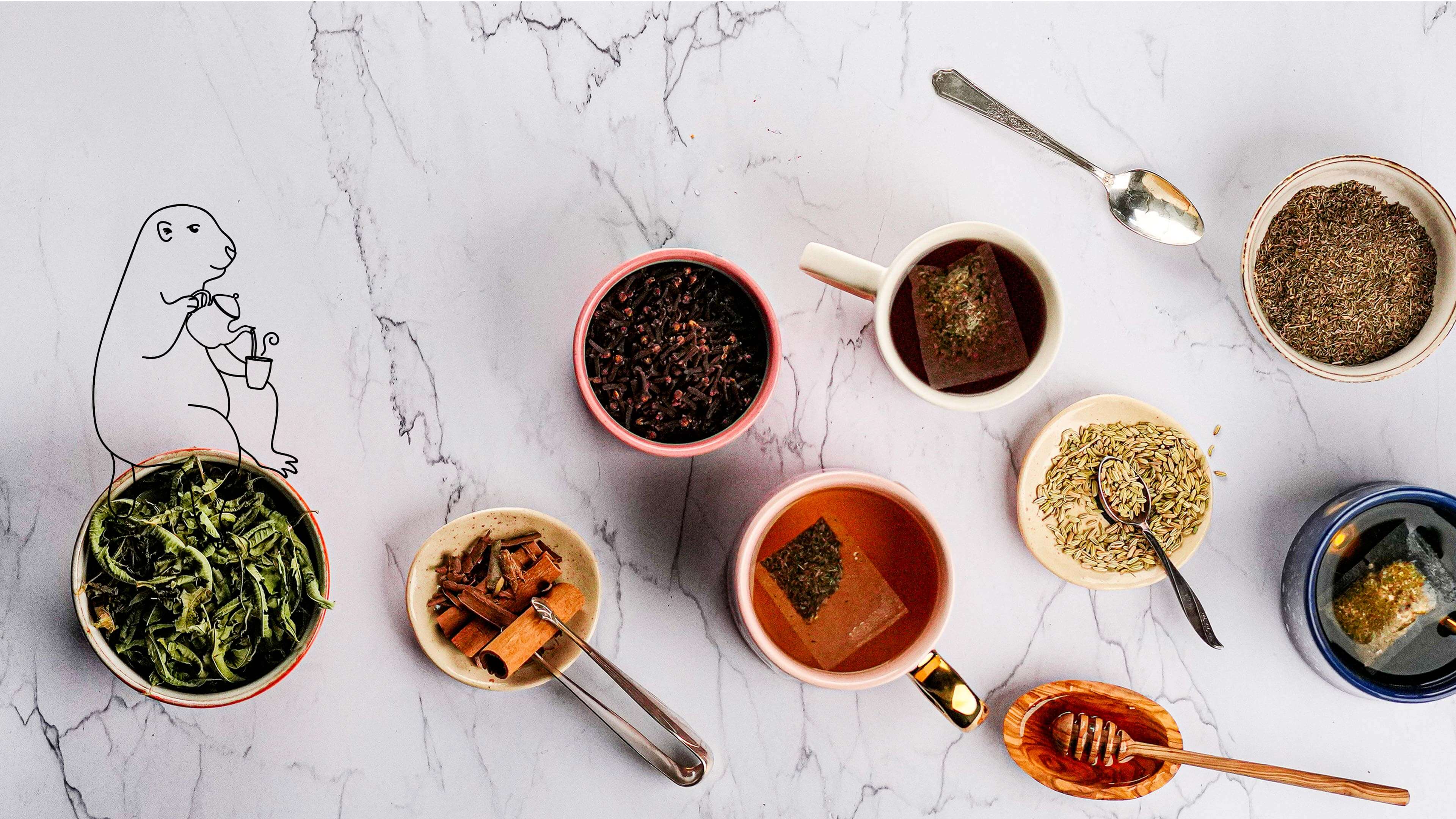 Quelle est la différence entre une tisane et une infusion ?